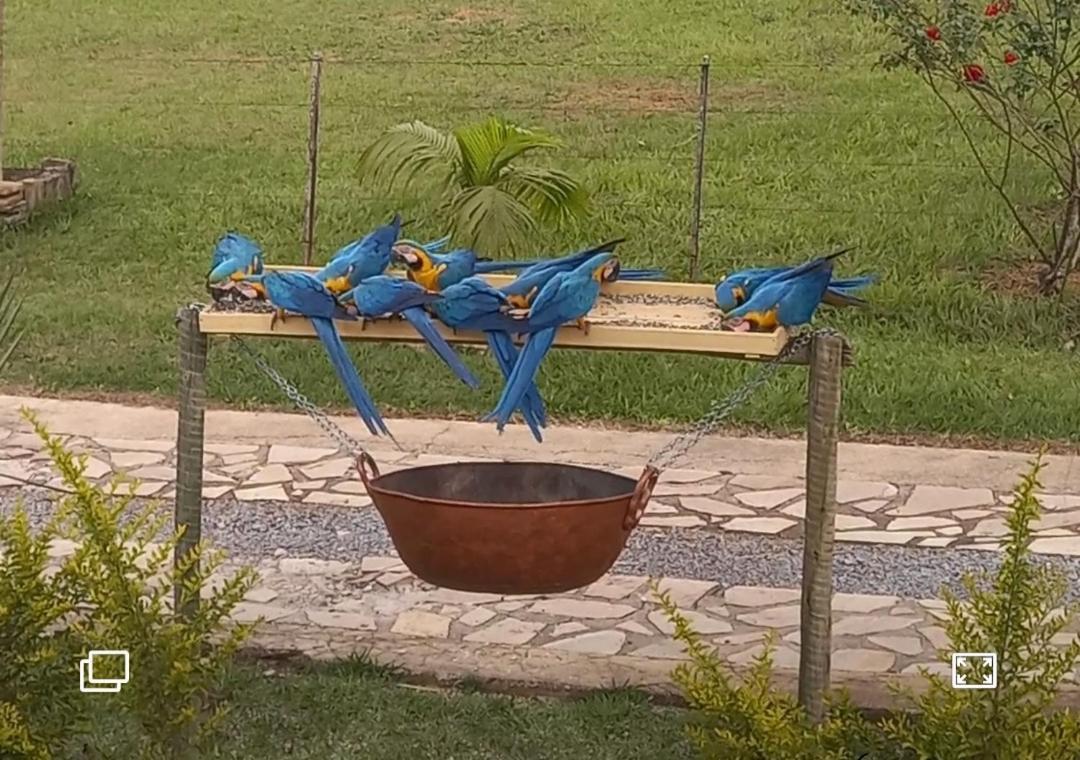 Pousada Canto Dos Passaros Alto Paraíso de Goiás Buitenkant foto