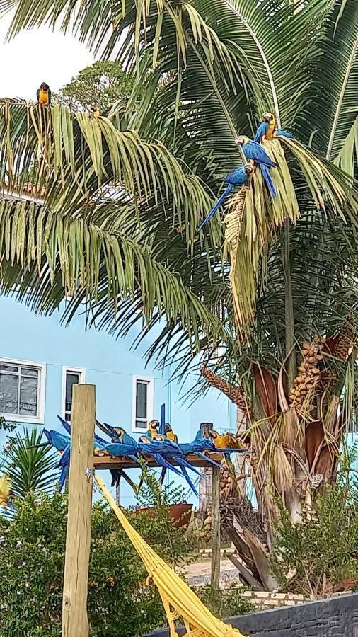Pousada Canto Dos Passaros Alto Paraíso de Goiás Buitenkant foto