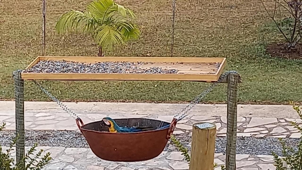 Pousada Canto Dos Passaros Alto Paraíso de Goiás Buitenkant foto